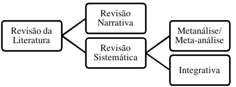 Figura 5: Tipos de revisão da literatura. 