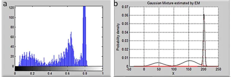Figure 2. (a) The original gray image. (b), (c), and (d) are the patch of the body, wings, and background, respectively