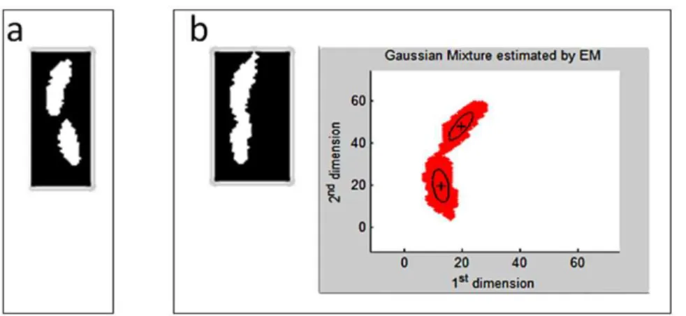 Figure 5. Overlapping image patch and body centers determined by the Gaussian mixture fitting.