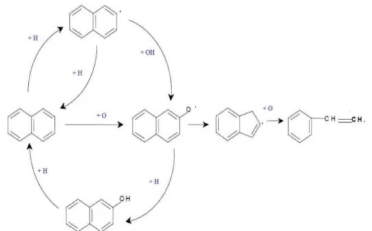 Figure 10: Naphthalene decomposition scheme [75] 