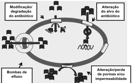 Figura 1. Esquema resumo dos principais mecanismos de resistên- resistên-cia aos antibióticos (adaptada de Andersen et al., 2015)