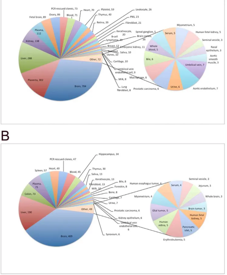 Figure 6: Tissue specificity of hES and hSperm cell surface proteins. A. hES cells expressed tissue specific cell surface proteins of a wide variety of tissue types