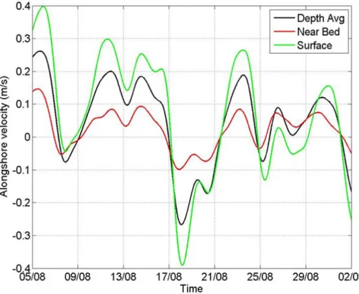 Figure 2.6 -  Example of detide surface, depth average and near bed velocities.