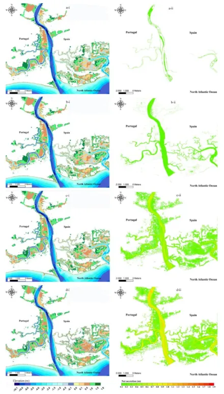 Figure 2.5 Simulated morphological evolution: (i) depth below the maximum spring high-tide  level relative to the mean sea level and (ii) net accretion of the Guadiana estuary by the end of  the 21 st  century for A1B sea-level rise scenario and for sedime