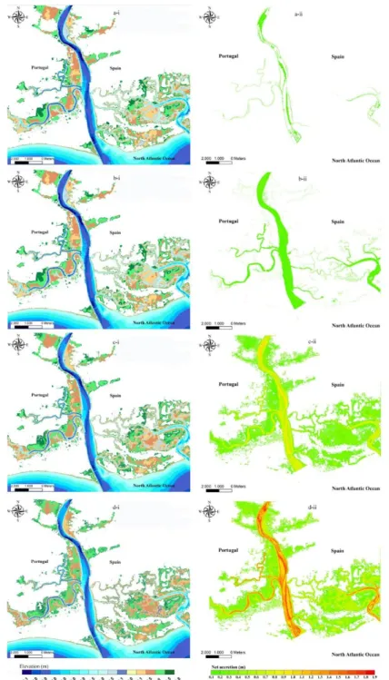 Figure 2.6 Simulated morphological evolution: (i) depth below the maximum spring high-tide  level relative to the mean sea level and (ii) net accretion of the Guadiana estuary by the end of  the 21 st  century for A1FI sea-level rise scenario and for sedim