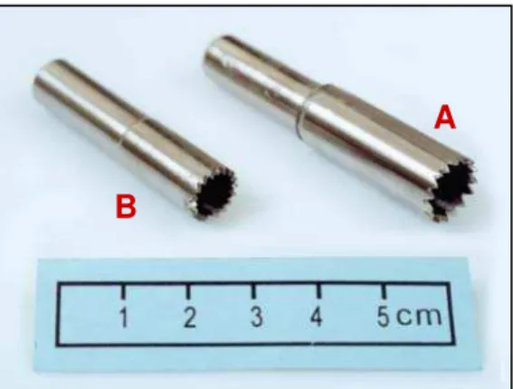 Figura 1 – Trefinas usadas para obtenção do osso doador (A) e para criação do leito no osso  receptor (B)