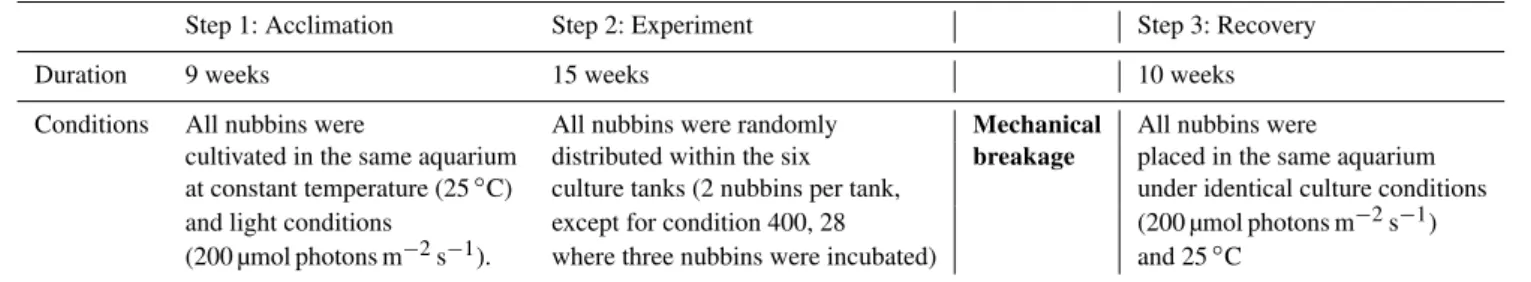 Table 1. Description of the three steps of the culture protocol.