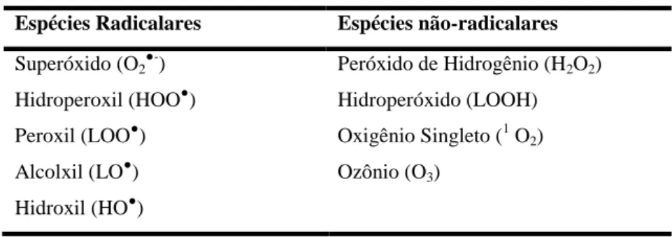 Tabela 1. Exemplos de Espécies Reativas de Oxigênio (EROs)  Espécies Radicalares  Espécies não-radicalares   Superóxido (O 2 ●- )  Peróxido de Hidrogênio (H 2 O 2 )  Hidroperoxil (HOO ● )  Hidroperóxido (LOOH)  Peroxil (LOO ● )  Oxigênio Singleto ( 1  O 2 