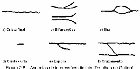 Figura 2.8 – Aspectos de impressões digitais (Detalhes de Galton) 