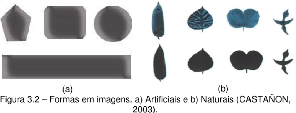 Figura 3.2 – Formas em imagens. a) Artificiais e b) Naturais (CASTAÑON,  2003). 