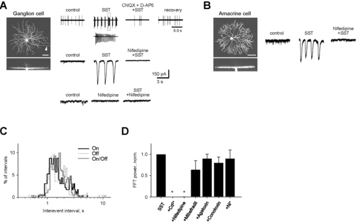 Figure 2. Large compound events are present in postsynaptic ganglion and amacrine cells and rely on inputs from BCs and L-type voltage gated calcium channels (VGCaCs)