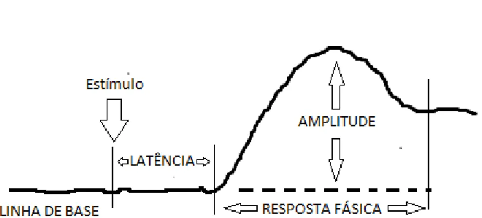 Figura 2: Curva de resposta fásica ao estímulo 