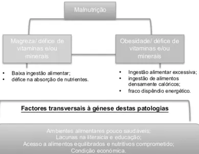 Figura  1:  Factores  endógenos  e  exógenos  da  malnutrição,  adaptado  de Unicef, 1990 e WHO, 2012