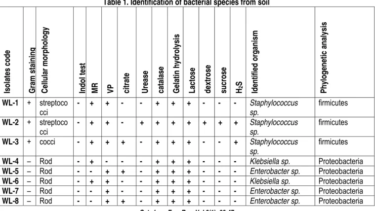 Table 1. Identification of bacterial species from soil 
