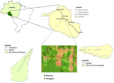 Figura 1 - Localização da área de estudo e imagem Landsat TM apresentando a Fazenda  Rancho Grande e a representação esquemática das bacias de estudo 