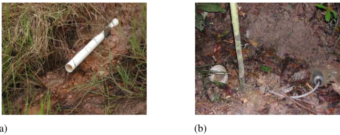 Figura 5 - Nascentes de água subsuperficial no pasto (a) e na floresta (b) 