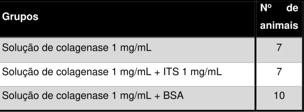 Tabela 2 - Grupos utilizados na padronização do processo de isolamento de ilhotas. ITS – Inibidor de tripsina de semente de  soja; BSA – Albumina de soro bovino.