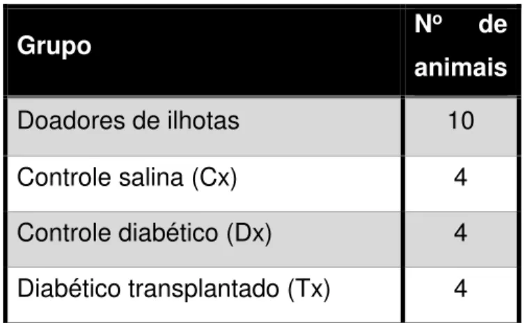 Tabela 3 - Grupos de animais no experimento de transplante de ilhotas. 