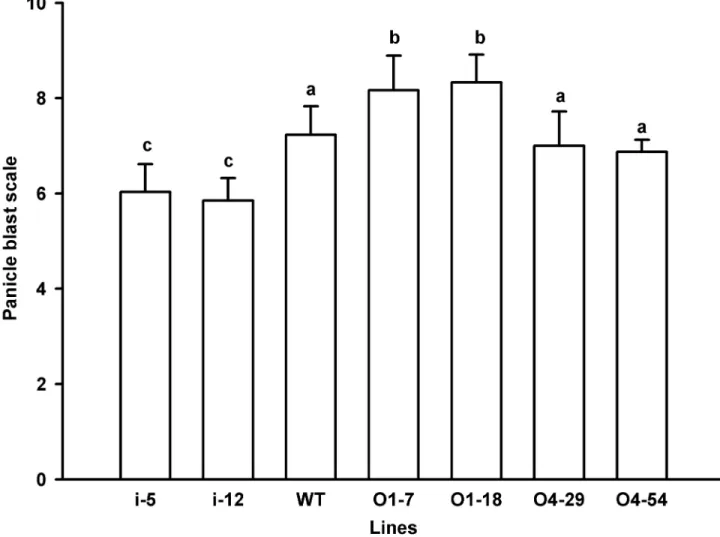 Figure 5.  Panicle blast scale of transgenic rice lines and wild-type.  At the preliminary stage of head sprouting, panicles from transgenic lines O1-7, O1-18, O4-29, O4-54, i-5 and i-12 and wild type (WT) were inoculated with  M