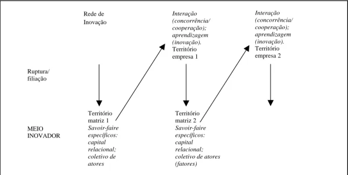 Figura 2:  O processo de ruptura/filiação