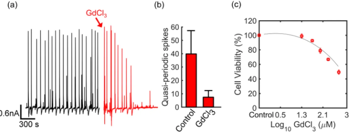 Figure 6.  Selective blocking of Ca 2+  stretch-activated channels. (a) Diatoms were kept in dark for more  than 2 day/night cycles