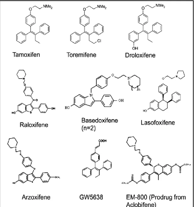 Figura  9  –  Estrutura  química  da  primeira  e  segunda  geração  dos  antiestrogénios  não-esteroides  (tamoxifeno  e  os  seus  derivados)  e  a  nova  terceira  geração  (arzoxifene  e  lasofoxifeno)  de  SERMs