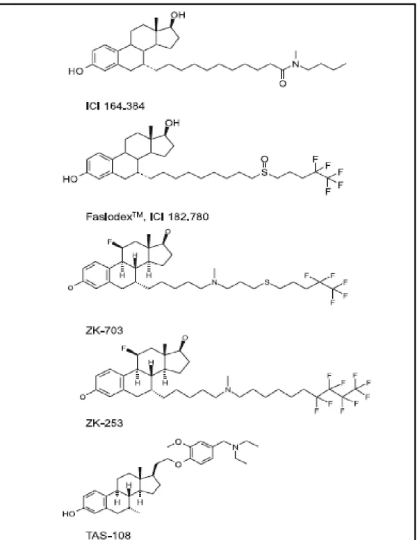 Figura 10 - Estrutura química dos antiestrogénios esteroides. Adaptado da literatura [48]