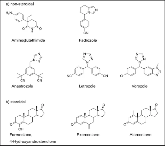Figura 12 - Estruturas químicas dos inibidores da aromatase. Adaptado da literatura [48]