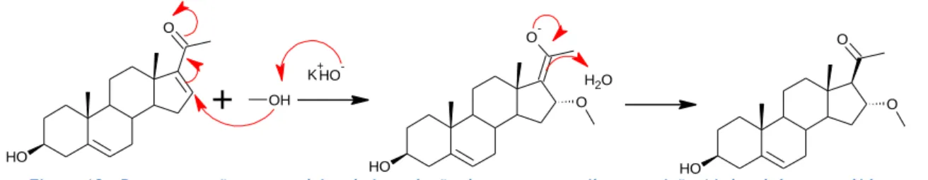 Figura 12 – Representação esquemática da introdução do grupo metoxilo na posição 16 do núcleo esteróide 