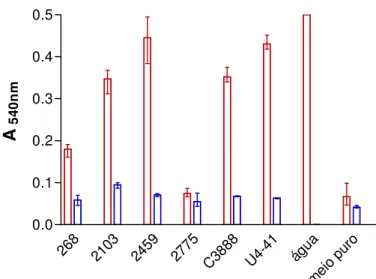 Figura 8.  Quantidade de hemoglobina liberada medida por absorbância a  540 nm para os isolados enterohemolíticos 2103, 2459, 2775 e  C3888 (EHly+), para o isolado negativo 268 e para o isolado   -hemolítico (U4-41) testados em TSB com glicose 2% (vermelho