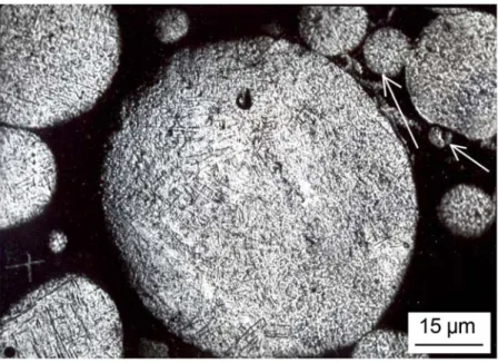 Fig. 1. OM. ZA27 alloy powder  morphology and microstructure. Arrows - satellite 