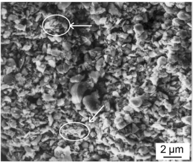 Fig. 3. SEM. Al 2 O 3  powder: morphology. Arrows - agglomerate 