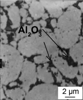 Fig. 7. Microstructure of hot-pressed ZA27-Al 2 O 3  composite. Arrows – Al 2 O 3  particles 