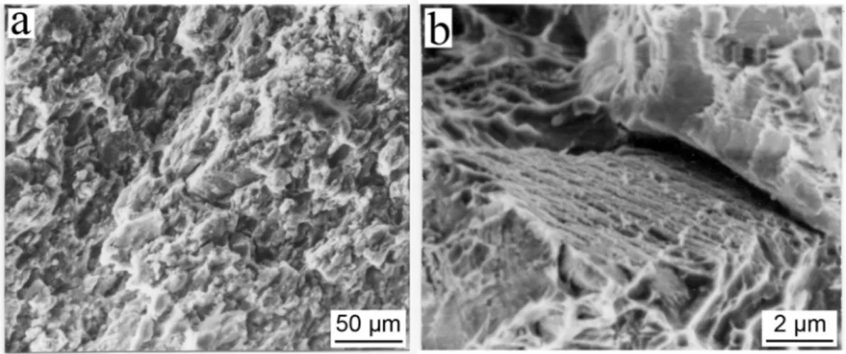 Fig. 9. SEM. Fracture surface of ZA27 alloy: decohesion of alloy particles 