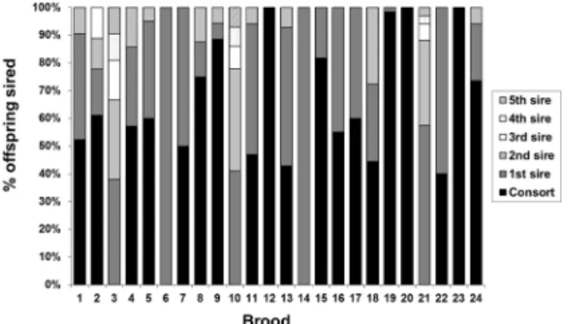 Fig 2. Proportion of eggs sired by each putative father in 24 egg strings of Loligo reynaudii.