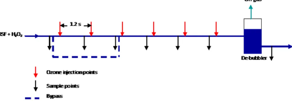 Figure 2. Schematic loop reactor.
