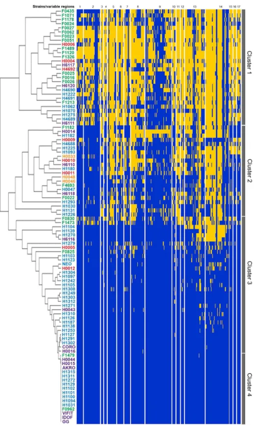 Figure 1. Analysis of genome diversity in L. rhamnosus by mapped SOLiD sequencing. The 100 L