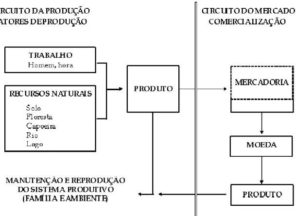 Figura 1: Fatores envolvidos no processo produtivo na agricultura familiar tradicional no Estado do Amazonas.