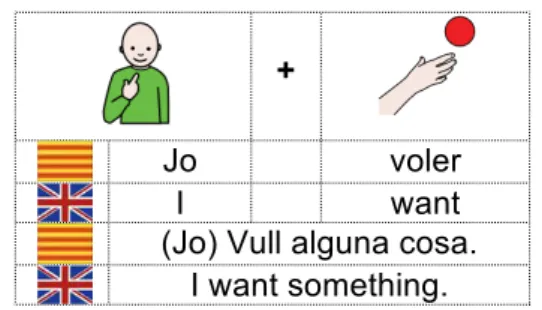 Figure 16: Example of the insertion of a generic expression. 