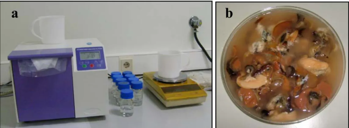 Fig. 3. a) Equipos utilizados, Stomacher® y balanza analítica, frascos Schott conteniendo la  solución triptona-sal estéril