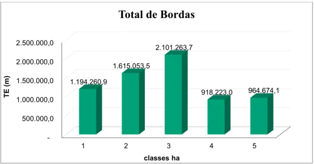 Figura 15- Índice de Total de Borda para classes da silvicultura por hectares. 
