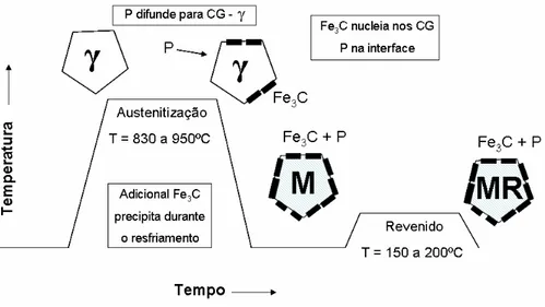 Figura  3.6  –  Representação  esquemática  do  mecanismo  proposto  por  Matlock  e  Krauss  para explicar a FT [Reguly, 1999]