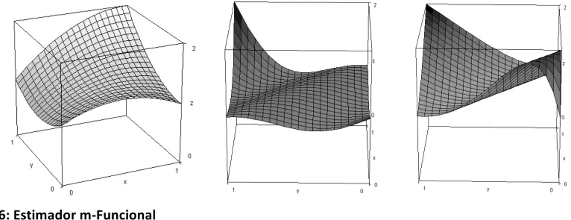 Figura   6:   Estimador   m-­‐Funcional      