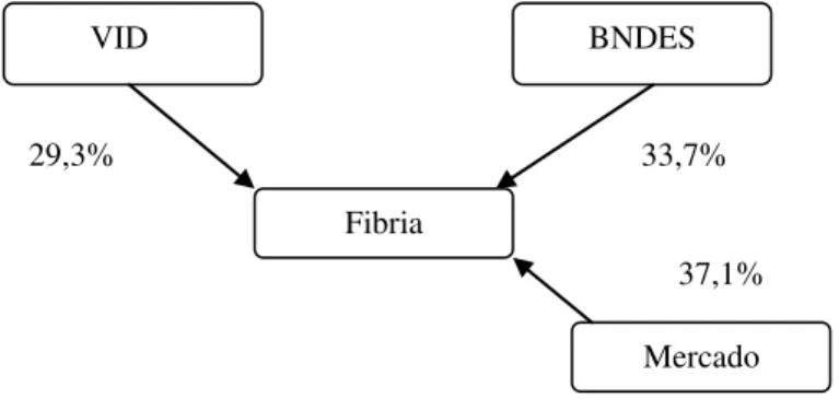 Ilustração 5: Estrutura societária da Fibria. 