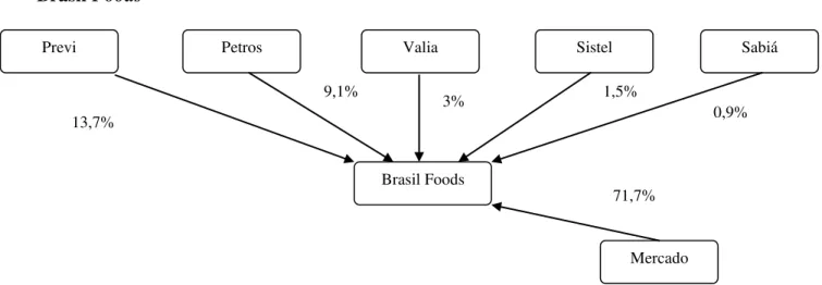 Ilustração 6: Composição Acionária da Brasil Foods. 