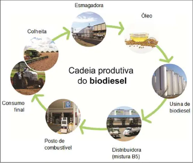 Figura 3.4 – Ilustração da cadeia produtiva do Biodiesel (B5), tendo como matéria-prima o óleo de soja