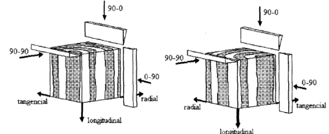 Figura 29 - Sistemas de corte ortogonal para madeiras, adaptada de Koch (1964).