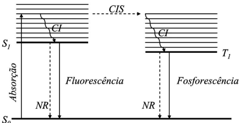 Figura 2.4: Diagrama de Jablonski ilustrando possíveis processos ocorrendo após absorção  de um fóton