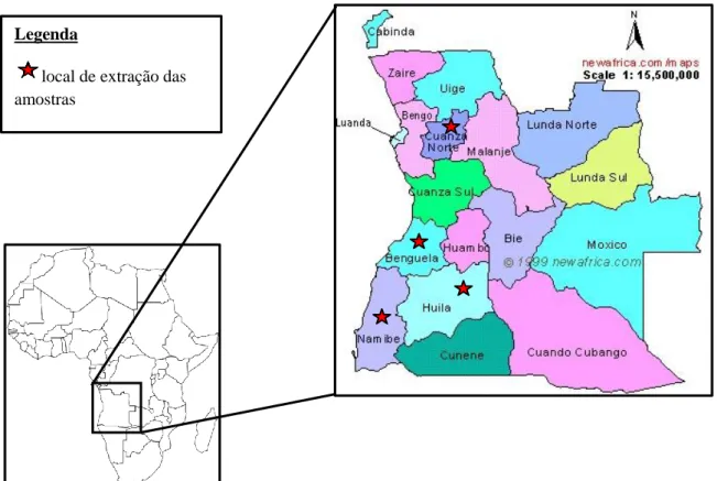 Figura 2.1 Localização geográfica de Angola e respetivos locais de extração das amostras