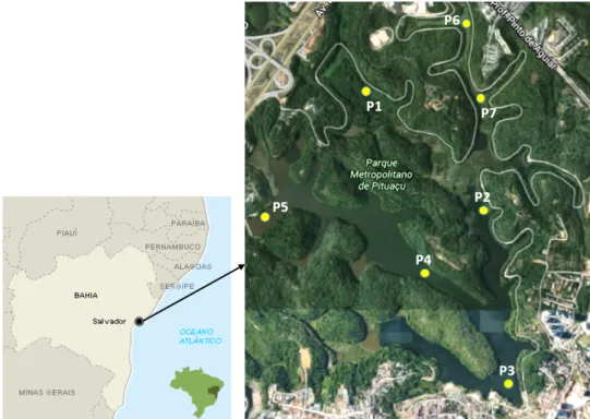 Figura   1:   Parque   Metropolitano   de   Pituaçu   (PMP)   e   a   localização   dos   pontos   amostrais   (P1   a   P7)   na   Lagoa   de   Pituaçu